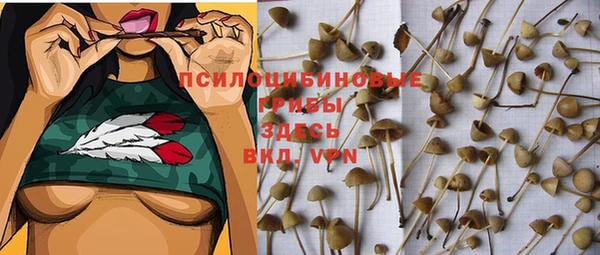 марки nbome Алексеевка
