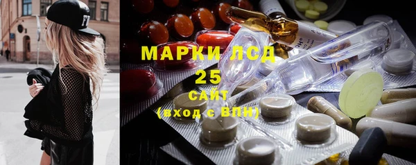 ГАЛЛЮЦИНОГЕННЫЕ ГРИБЫ Алексин