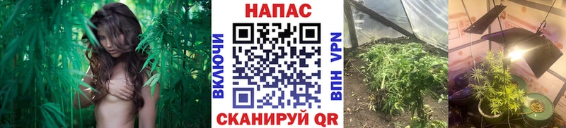 МАРИХУАНА конопля  дарк нет как зайти  Талица  наркотики 